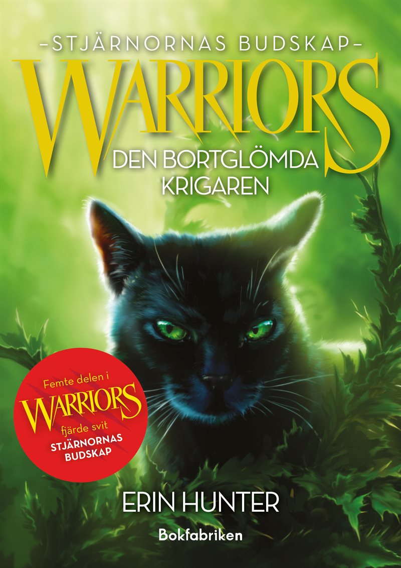 Warriors 4. Den bortglömda krigaren