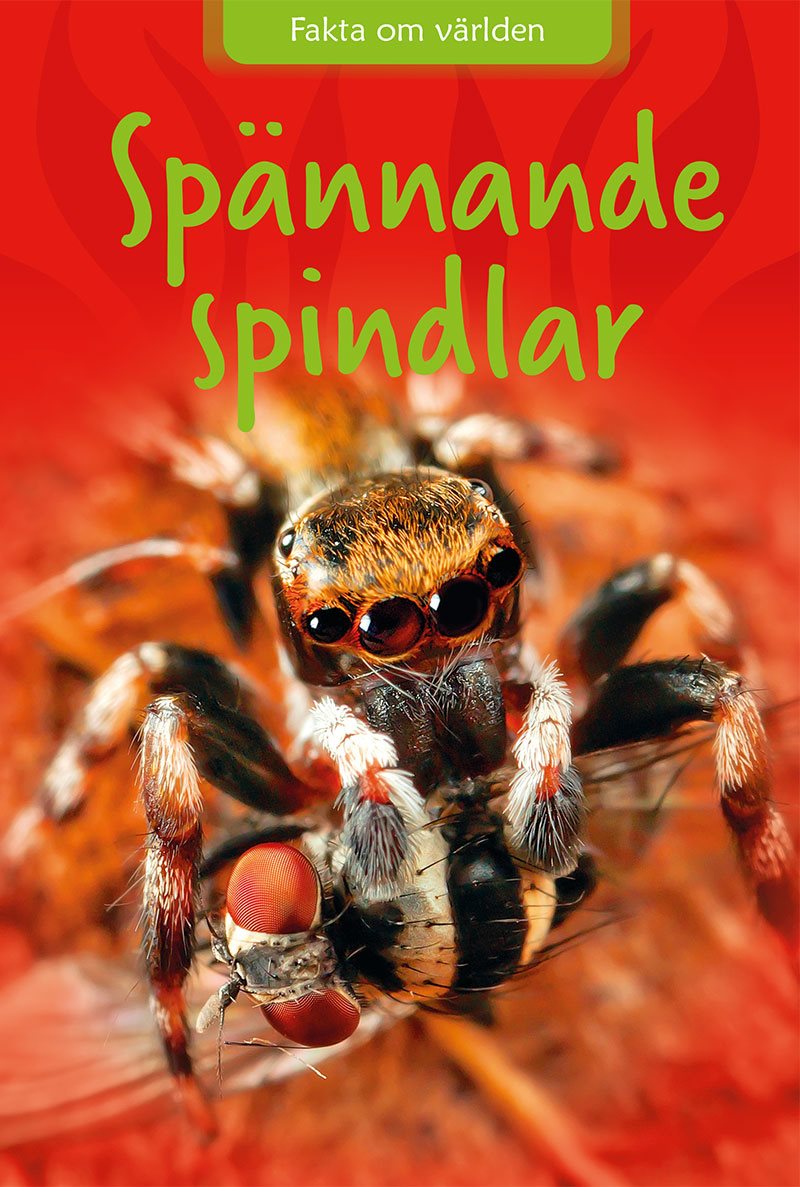 Spännande spindlar