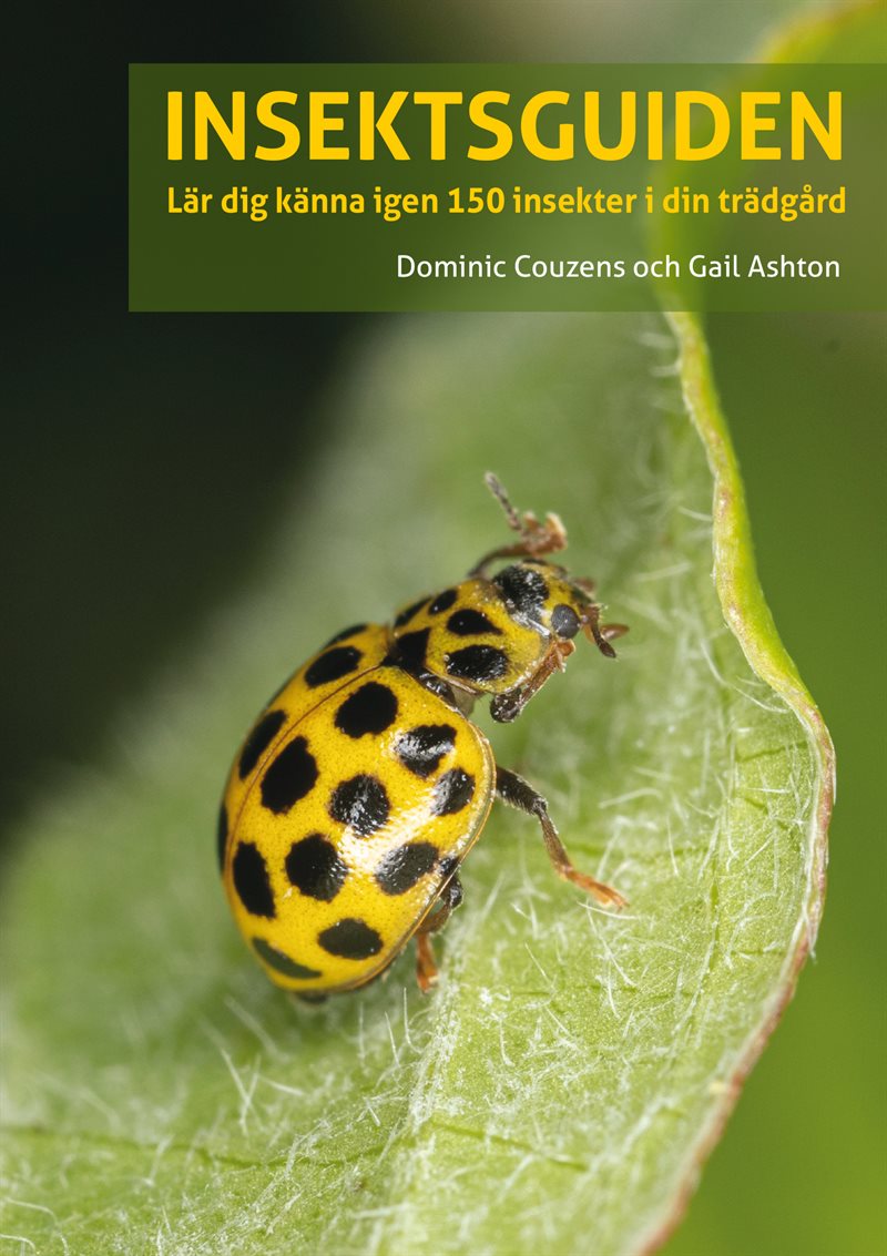 Insektsguiden : Lär dig känna igen 150 insekter i din trädgård