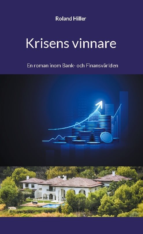 Krisens vinnare : en roman inom bank- och finansvärlden