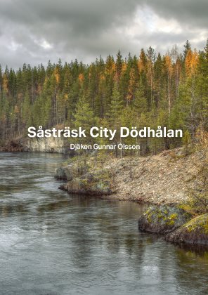 Såsträsk City Dödhålan