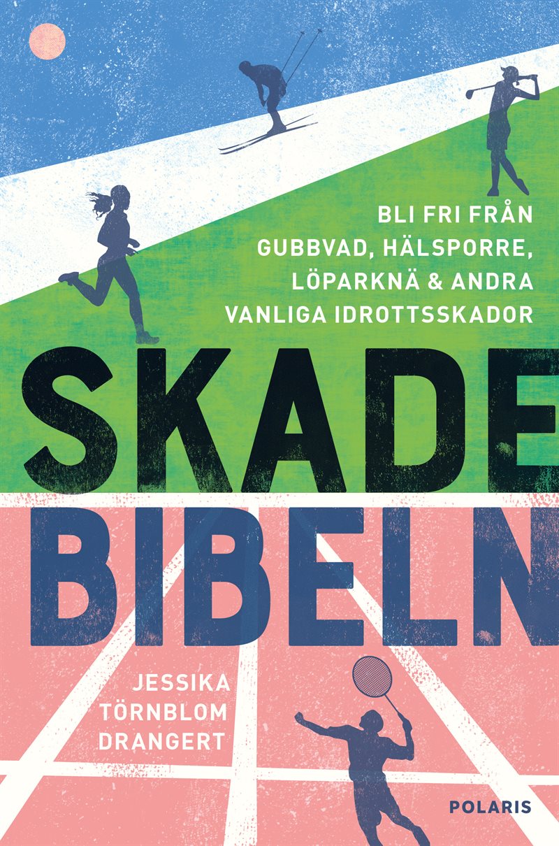 Skadebibeln