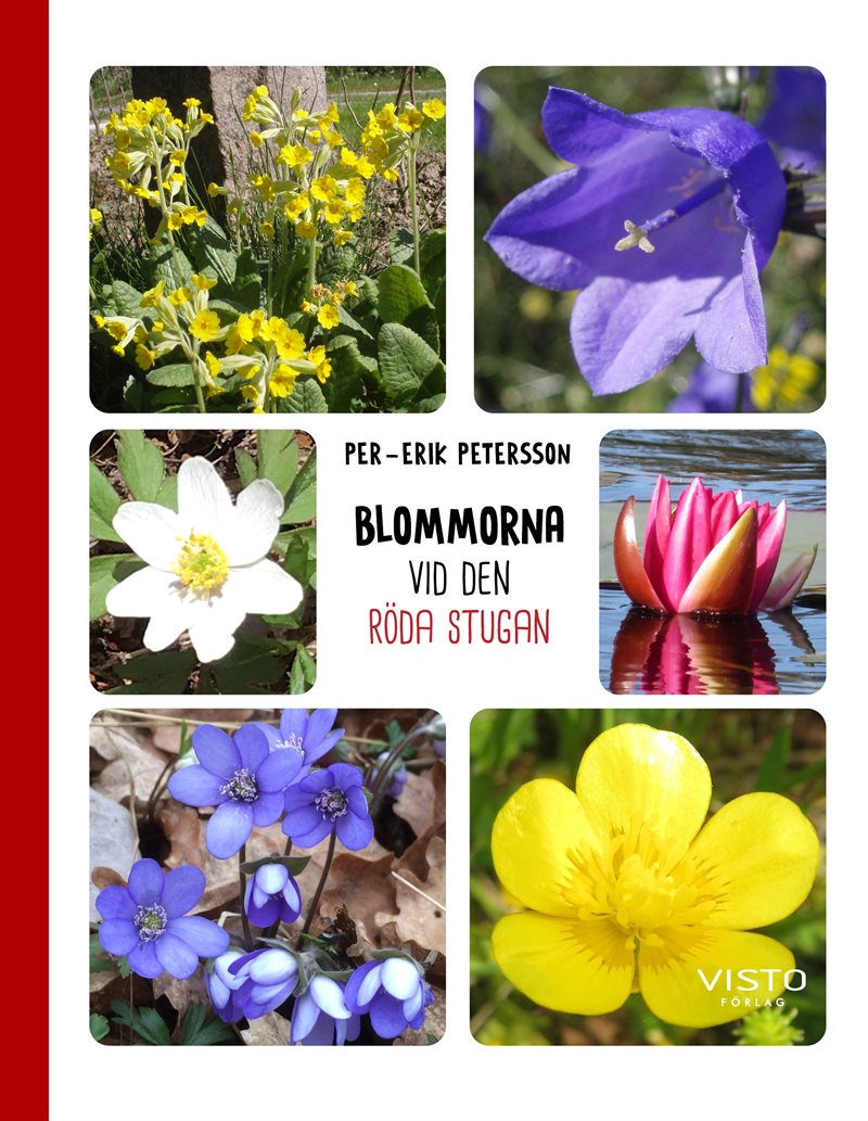 Blommorna vid den röda stugan