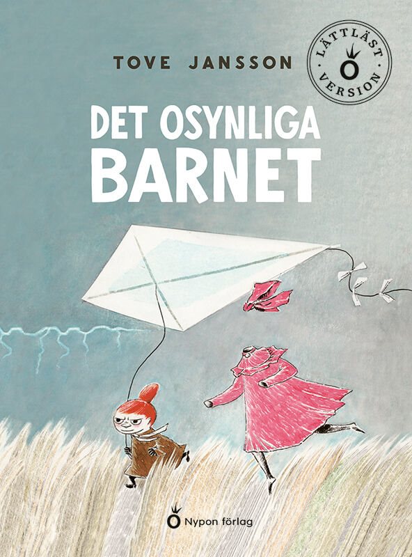 Det osynliga barnet (lättläst)