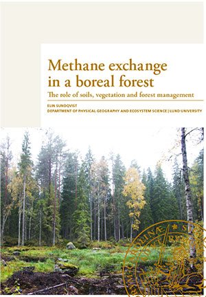 Methane exchange in a boreal forest