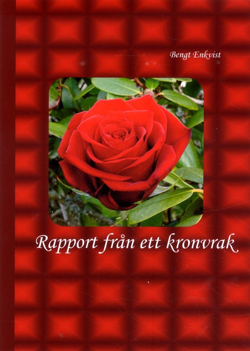 Rapport från ett kronvrak