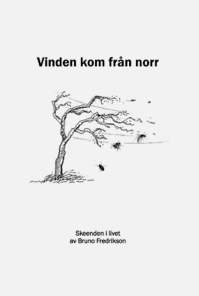 Vinden kom från norr