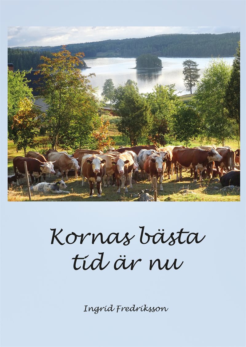 Kornas bästa tid är nu