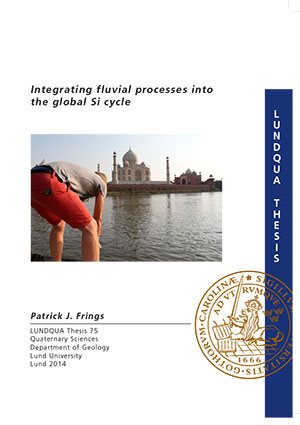 Integrating fluvial processes into the global Si cycle