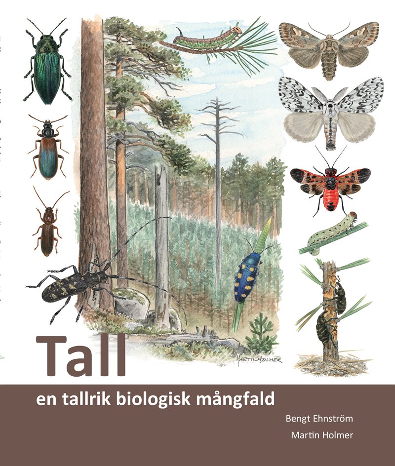 Tall : en tallrik biologisk mångfald