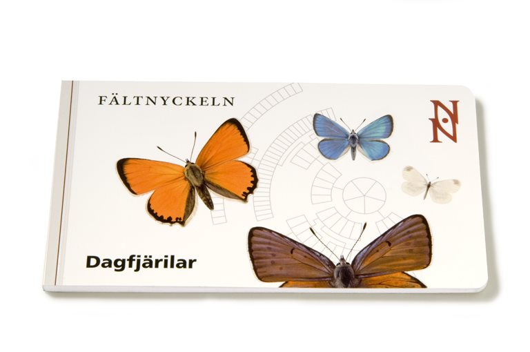 Fältnyckeln. Dagfjärilar