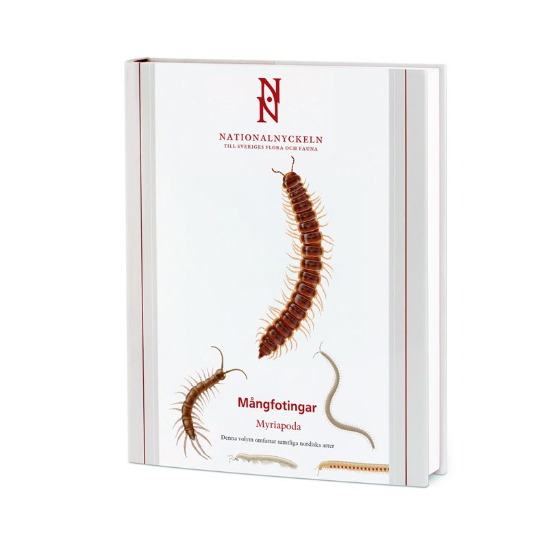 Mångfotingar. Myriapoda