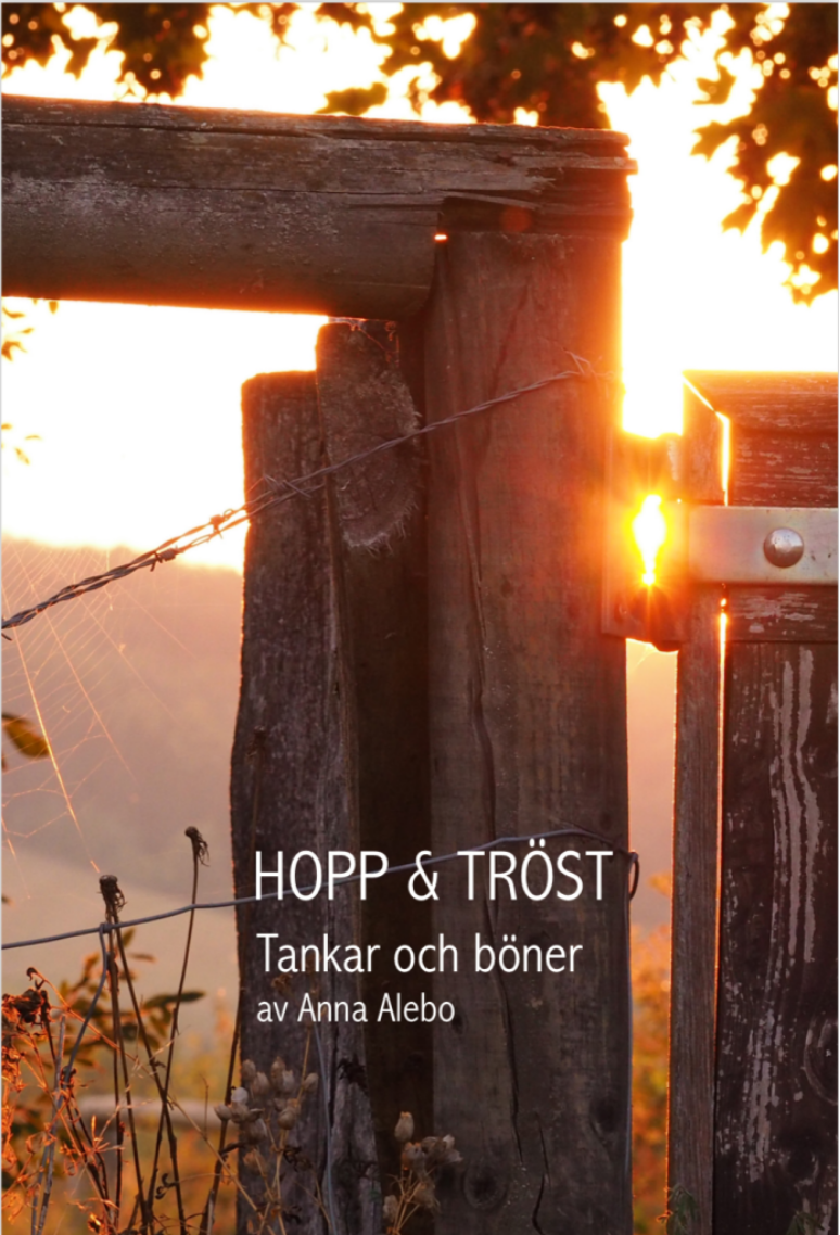 Hopp och tröst : tankar och böner