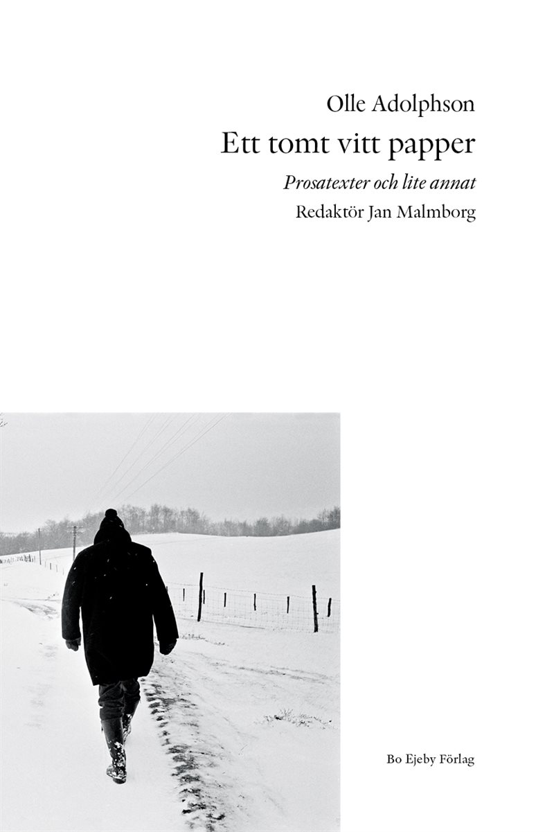 Ett tomt vitt papper : prosatexter och lite annat