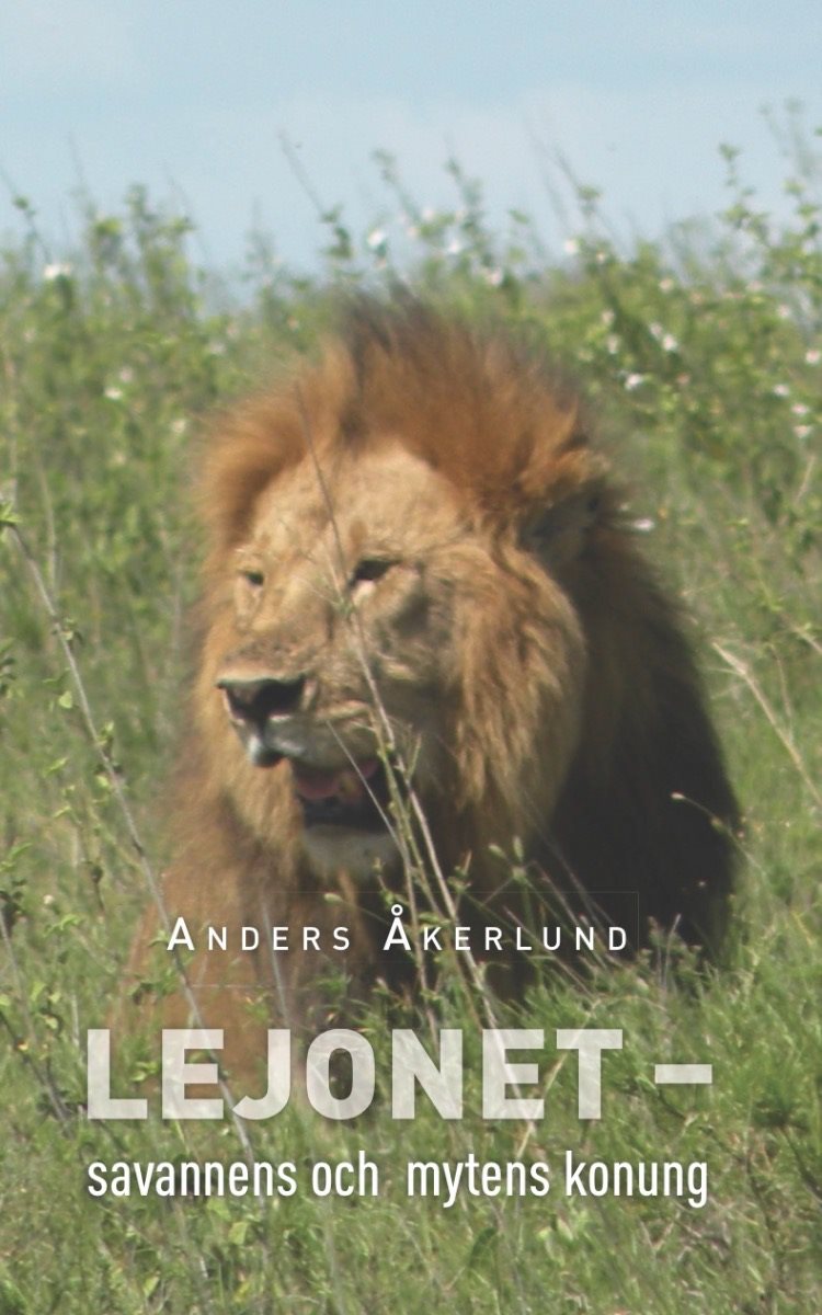Lejonet : savannens och mytens konung