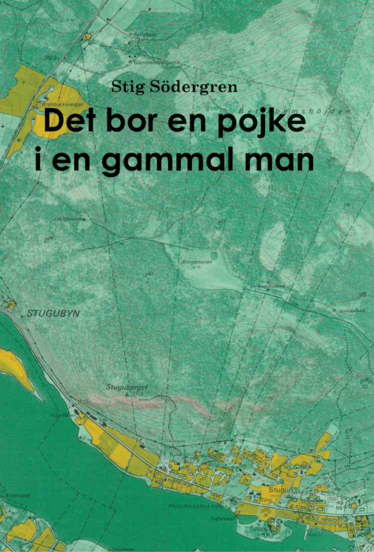 Det bor en pojke i en gammal man