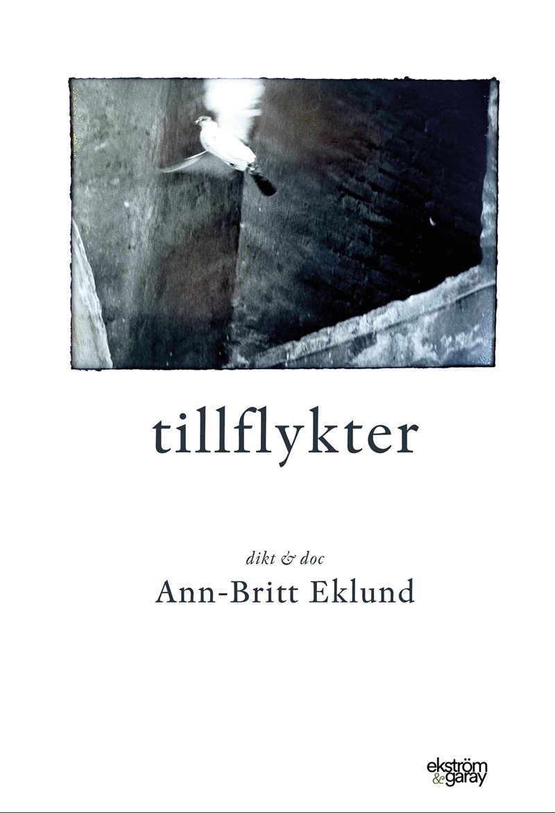 Tillflykter