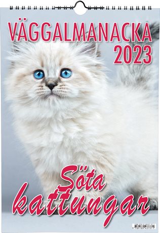 Söta kattungar Väggalmanacka 2023