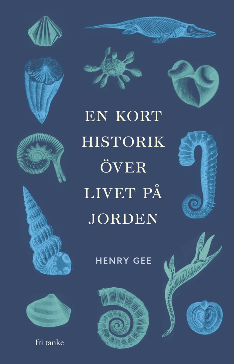 En kort historik över livet på jorden