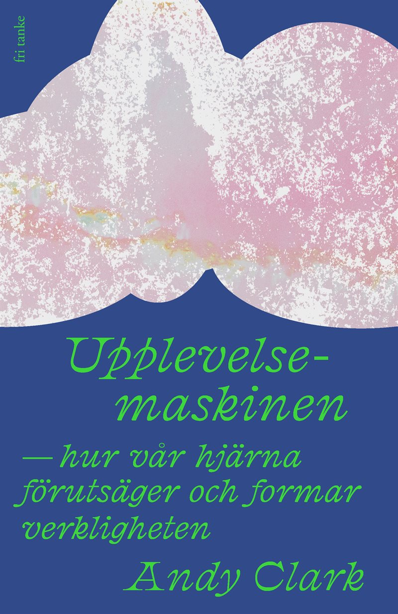 Upplevelsemaskinen: Hur vår hjärna formar och förutsäger ver