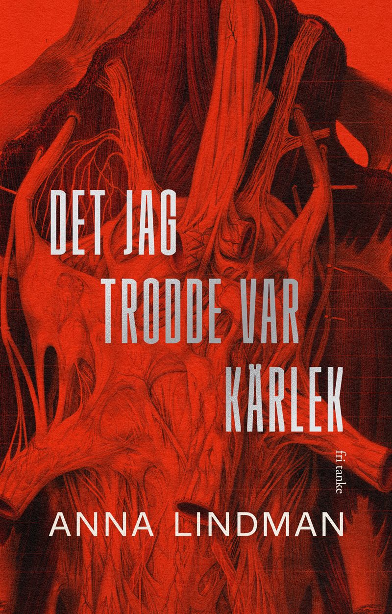 Det jag trodde var kärlek : En bok en om psykiskt våld