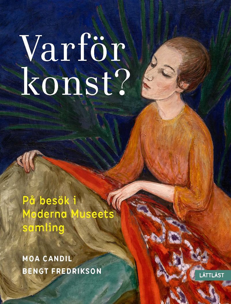 Varför konst? : på besök i Moderna Museets samling