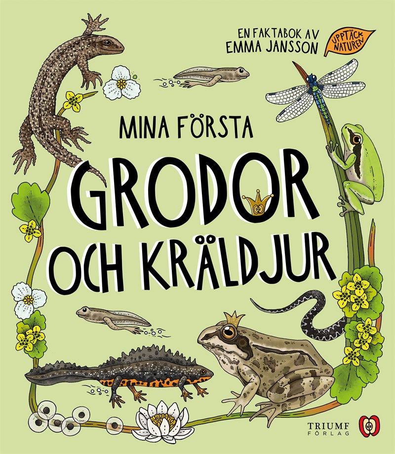 Mina första grodor och kräldjur