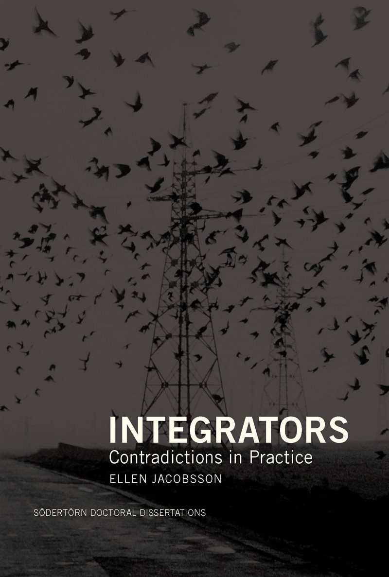 Integrators : Contradictions in Practice