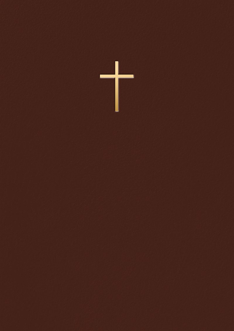 Bibel 2026 Mörkbrun konstskinn