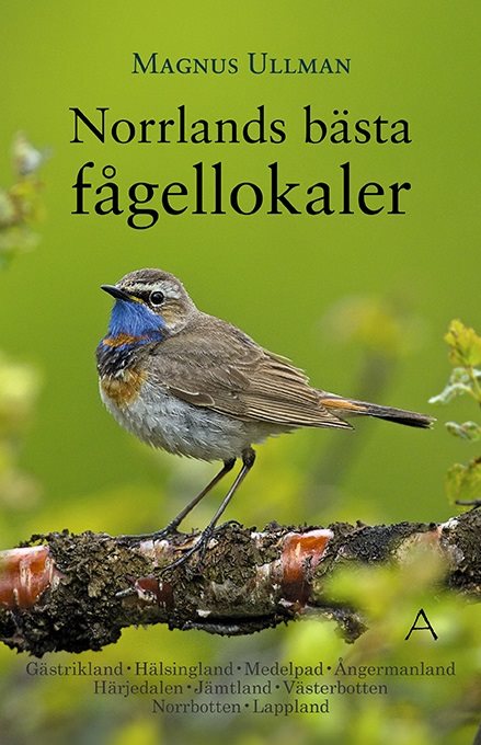 Norrlands bästa fågellokaler