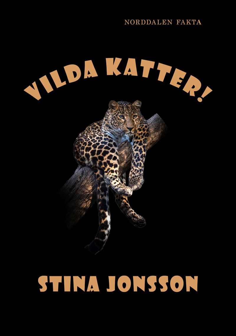 Vilda katter!