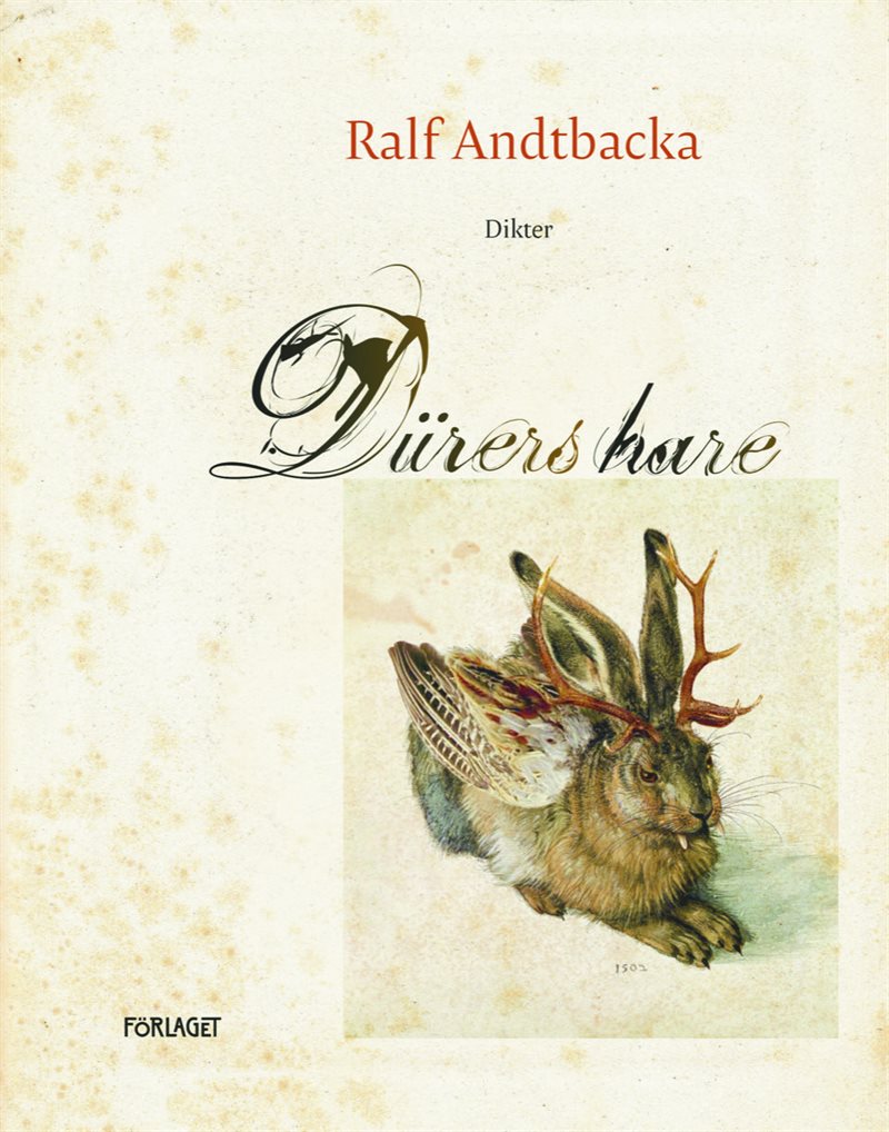 Dürers hare