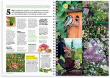 Kalender 2026 Allt om Trädgård