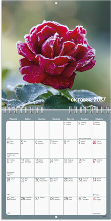Väggkalender 2027 Blommor