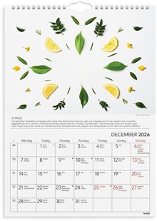 Väggkalender 2026 Gröna tips