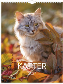 Väggkalender 2027 Stora Kattkalendern