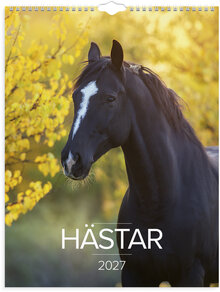 Väggkalender 2027 Stora Hästkalendern