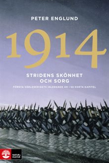 Stridens skönhet och sorg 1914 : första världskrigets inledande år i 68 korta kapitel