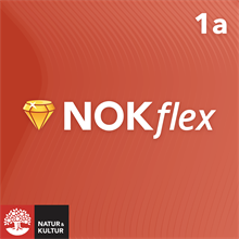 NOKflex Matematik 1a Röd