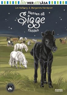 Natten då Sigge föddes 