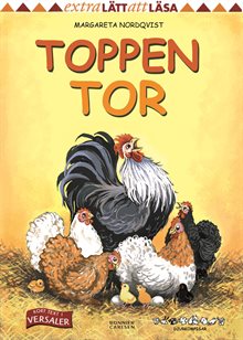 Toppen Tor