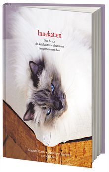 Innekatten - hur du och din katt kan trivas tillsammans i ert gemensamma hem