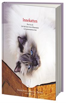 Innekatten - hur du och din katt kan trivas tillsammans i ert gemensamma hem