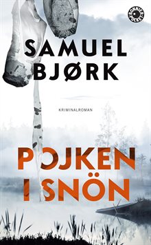 Pojken i snön