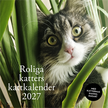 Roliga katters kattkalender 2027